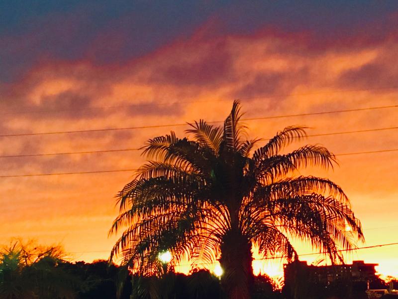 佛罗里达州奥兰多的日落。在HIMSS 2019。