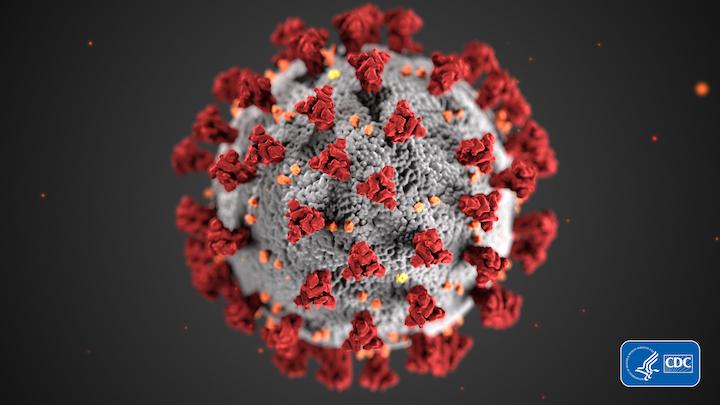 美国疾病控制与预防中心对新型冠状病毒(COVID-19)的说明。#coronavirus #COVID19 #COVID-2019 #2019nCoV
