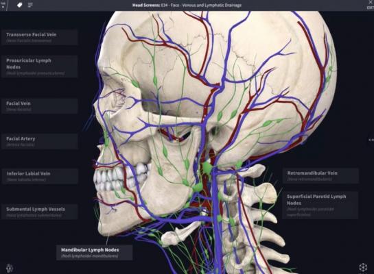 DrChrono和3D4Medical合作伙伴将3d交互式建模引入医生实践