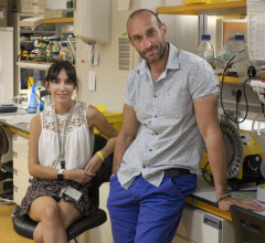 Karla Santos-de-Frutos和Nabil Djouder在实验室。安东尼奥·泰伯内罗的形象。CNIO