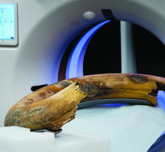 长毛猛犸象象牙在扫描仪中的位置照片。象牙被固定在玻璃纤维框架中，以保证运输和桌子移动的稳定性。